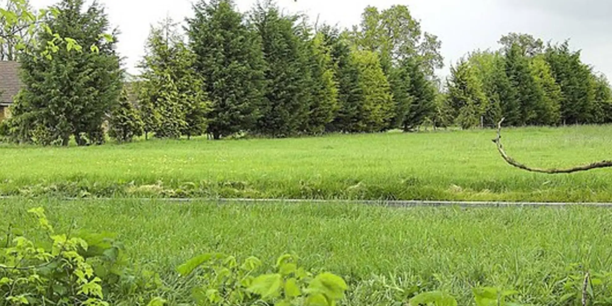 An image depicting the trail Nazeing Circular from Epping Green and its surrounding area.