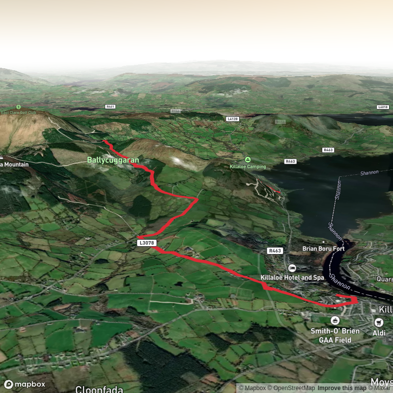 Scout Opening Night Hike