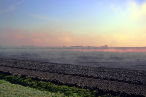 Zomerhuisbos and Pompsterplaat Loop