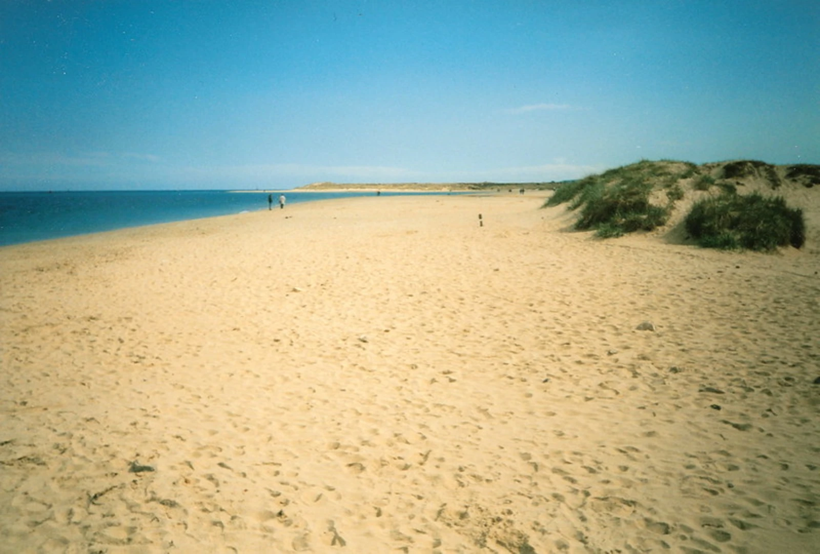 An image depicting the trail South Haven Point from Studland and its surrounding area.