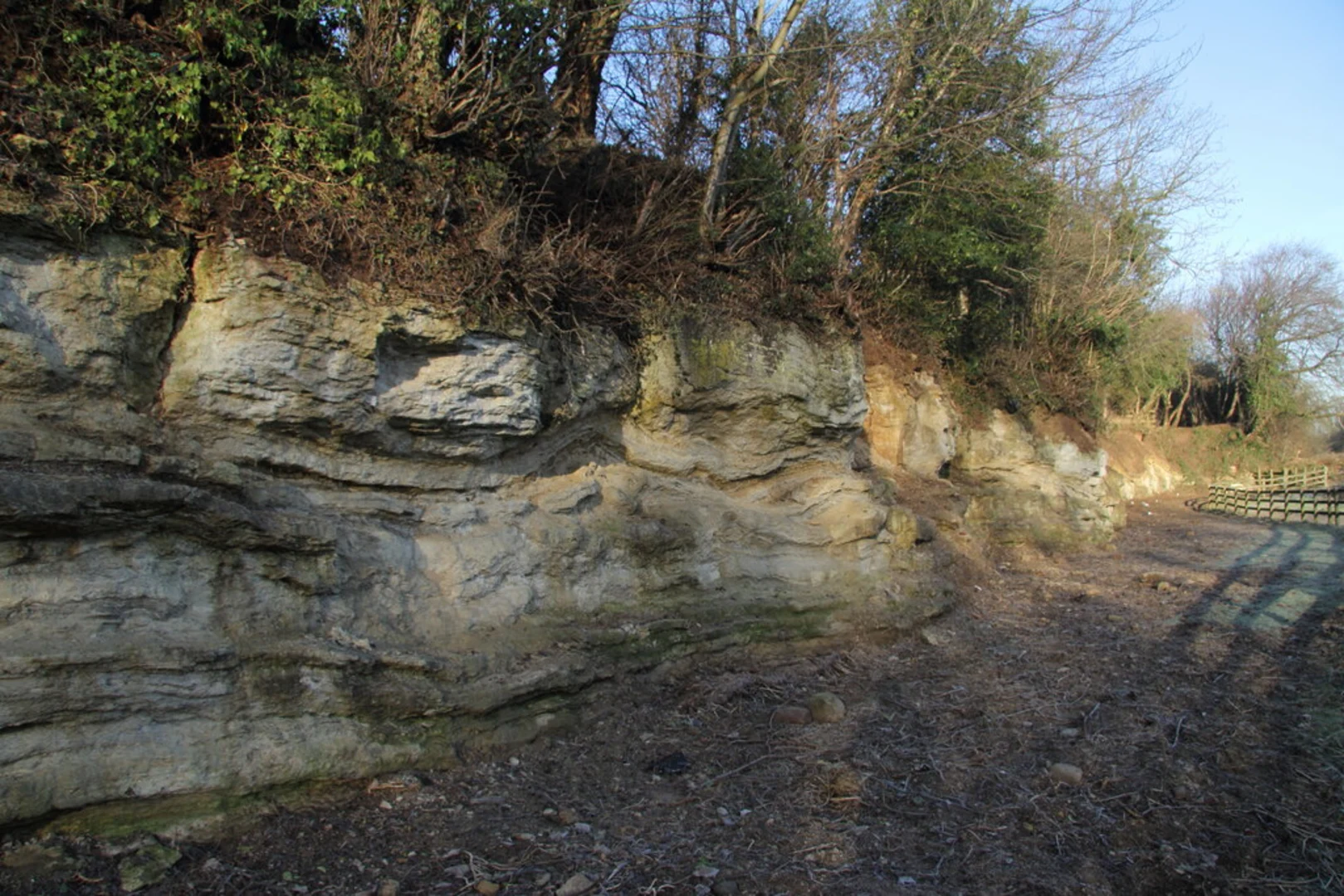 An image depicting the trail Ripon Country Park and Sharow Country Park Loop and its surrounding area.