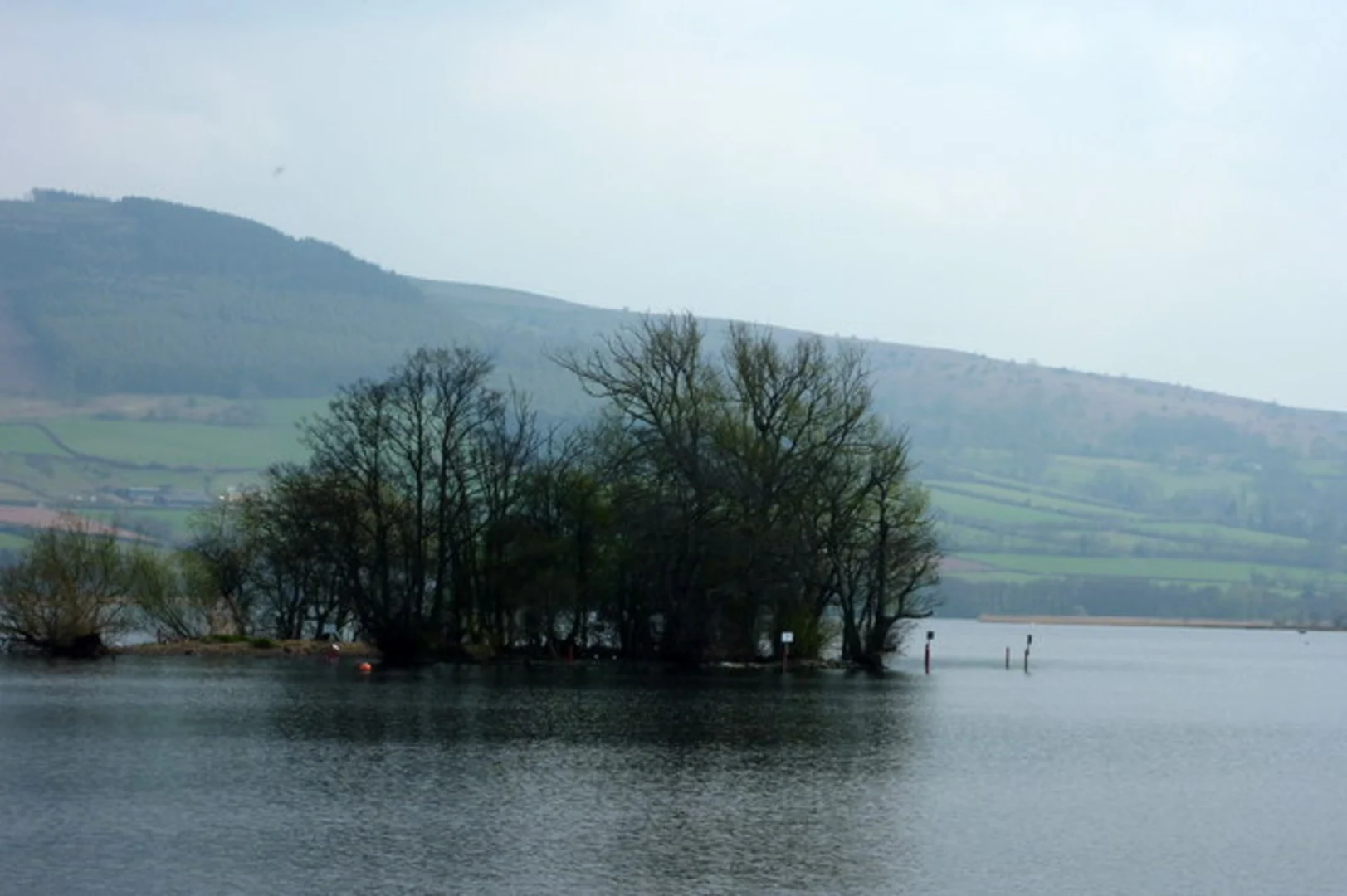 An image depicting the trail Llangorse Lake Walk and its surrounding area.