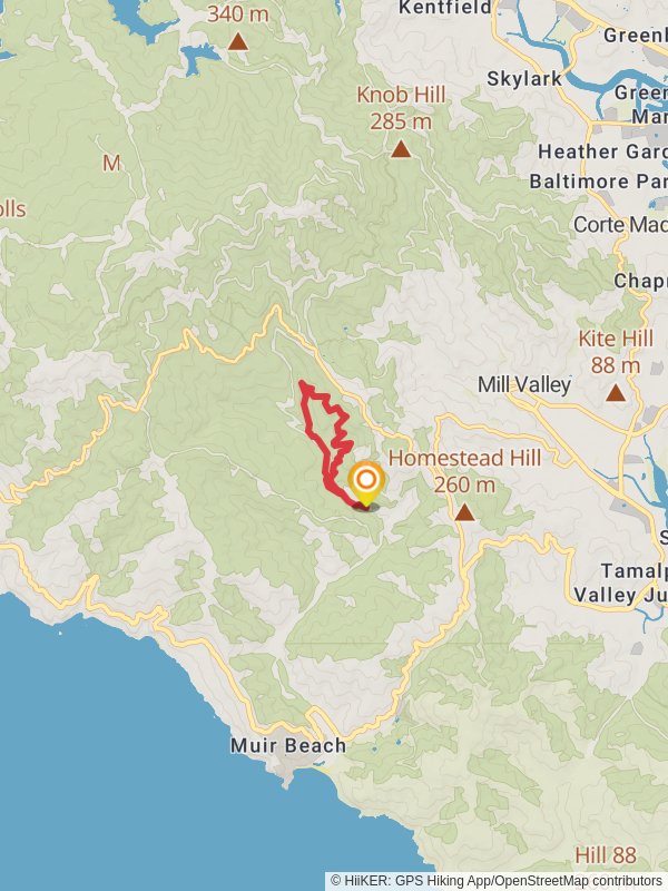 Fern Creek and Canopy Loop Trail