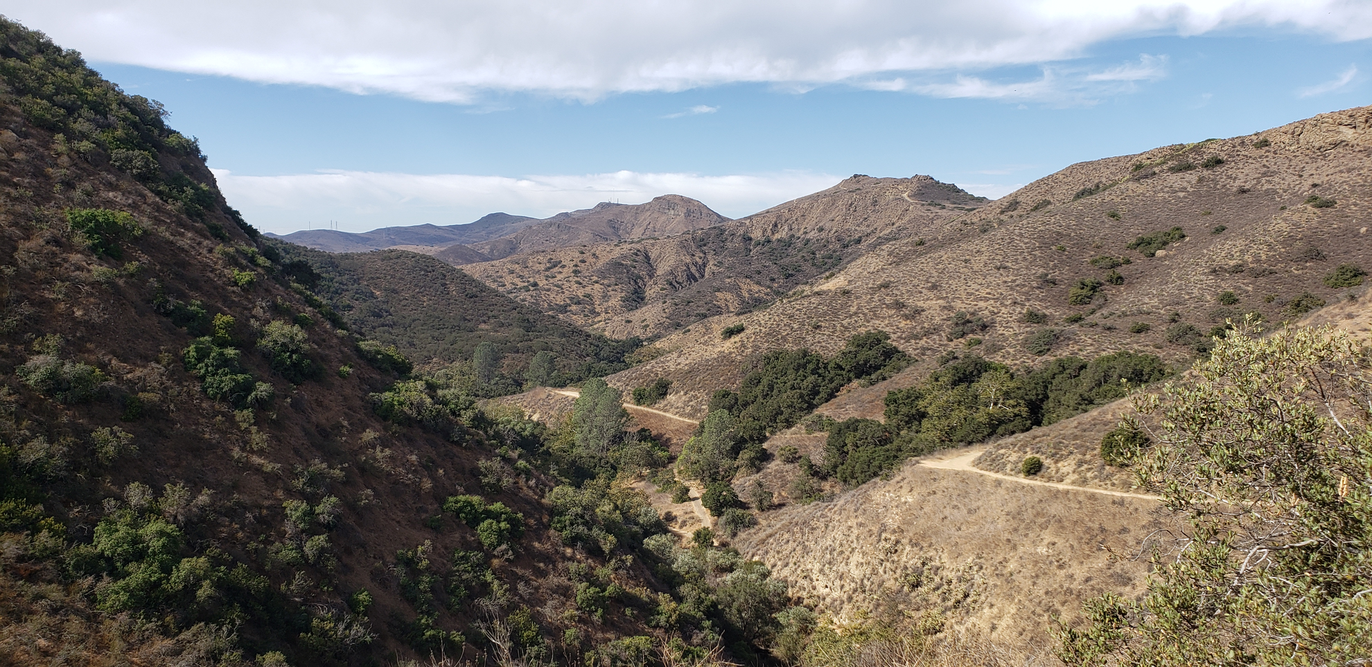 An image depicting the trail Hill Canyon, Calle Yucca and Mesa Loop Trail and its surrounding area.