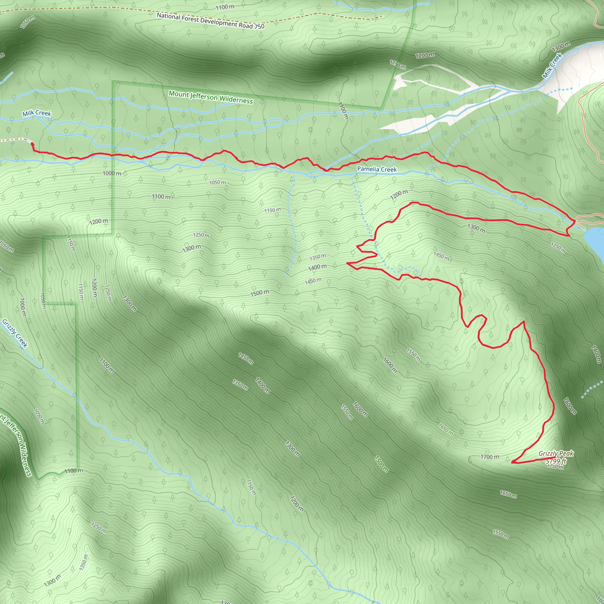 Pamelia Creek and Grizzly Peak via Pamelia Lake Trail mobile static map