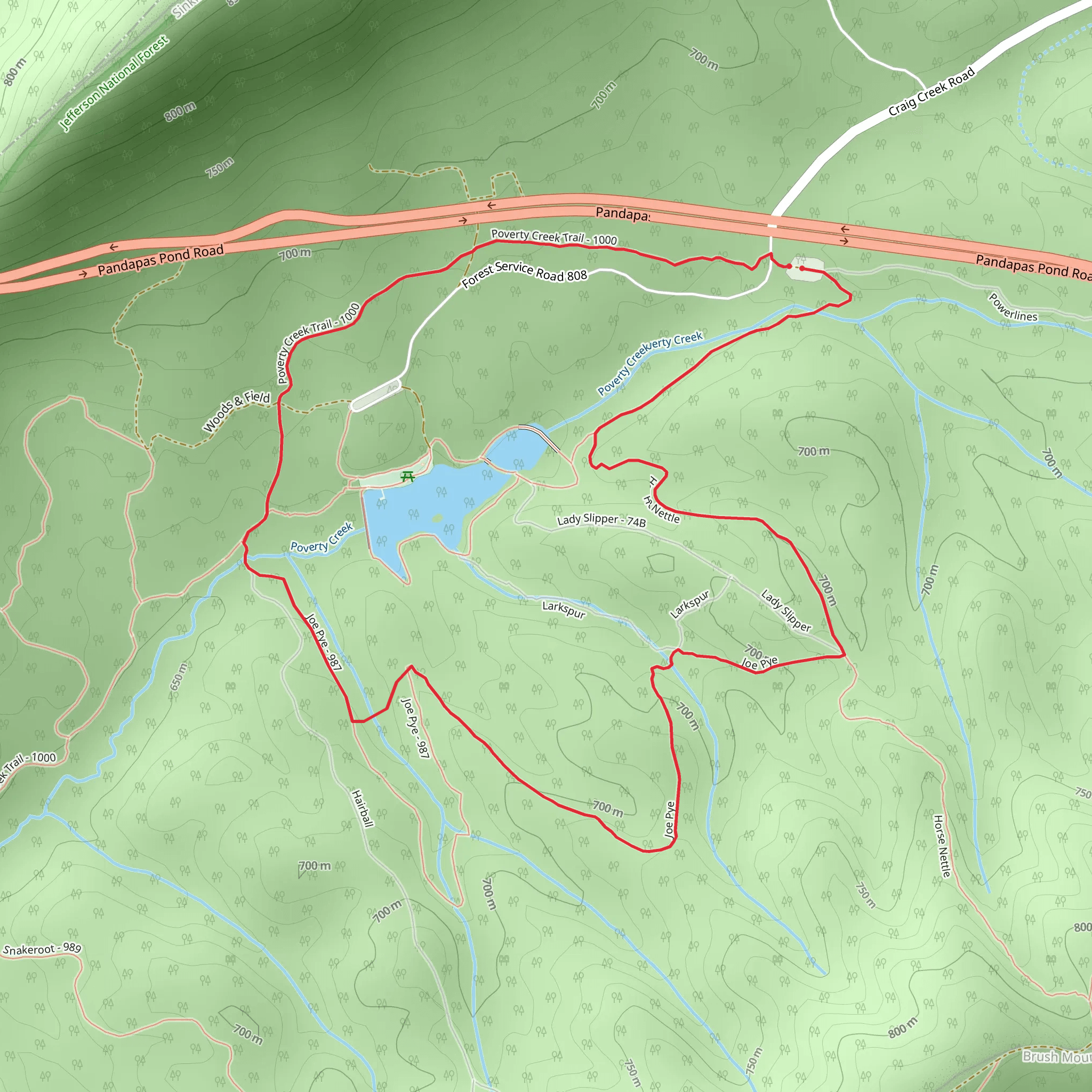 Horse Nettle, Joe Pye and Poverty Creek Loop Trail mobile static map