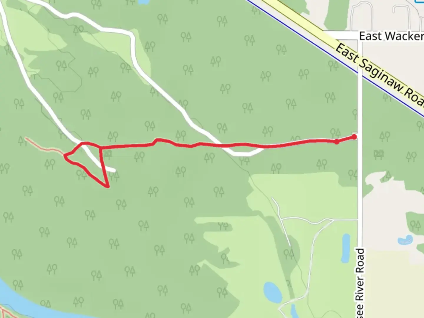 An image depicting the trail North Tittabawassee River Road Loop - West and its surrounding area.