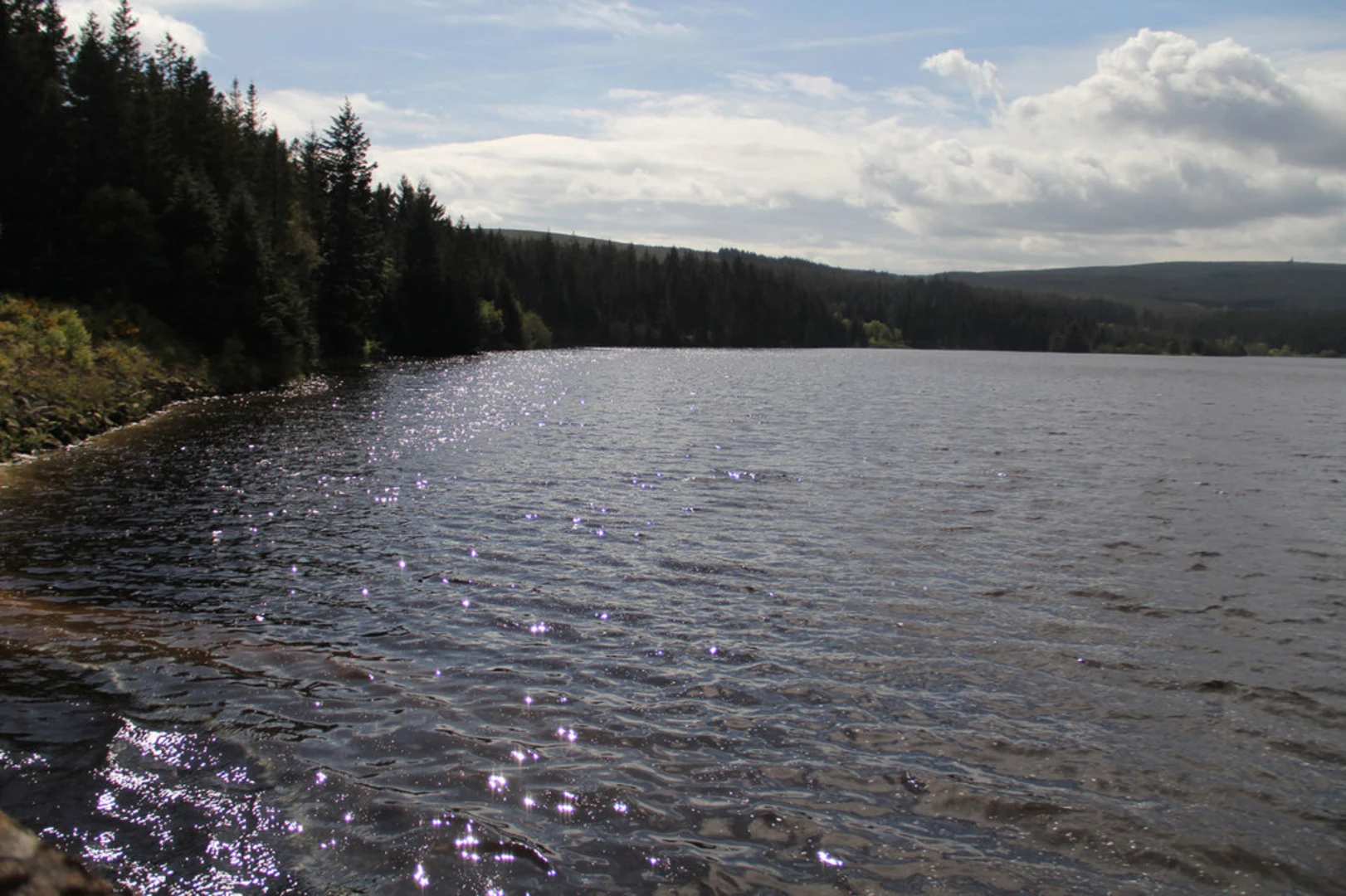 An image depicting the trail Kielder Viaduct and Butteryhaugh Loop and its surrounding area.
