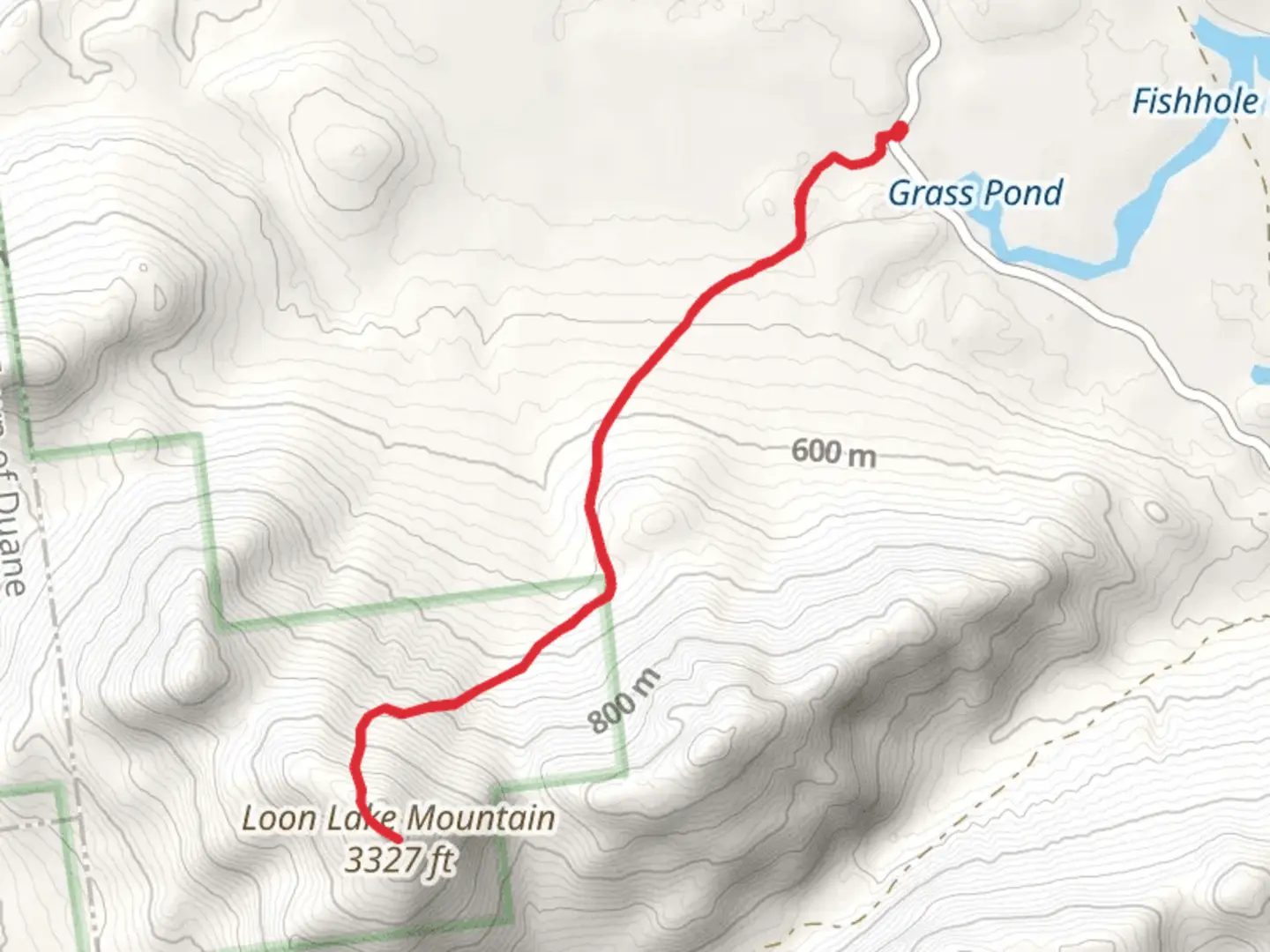 An image depicting the trail Loon Lake Mountain Trail and its surrounding area.