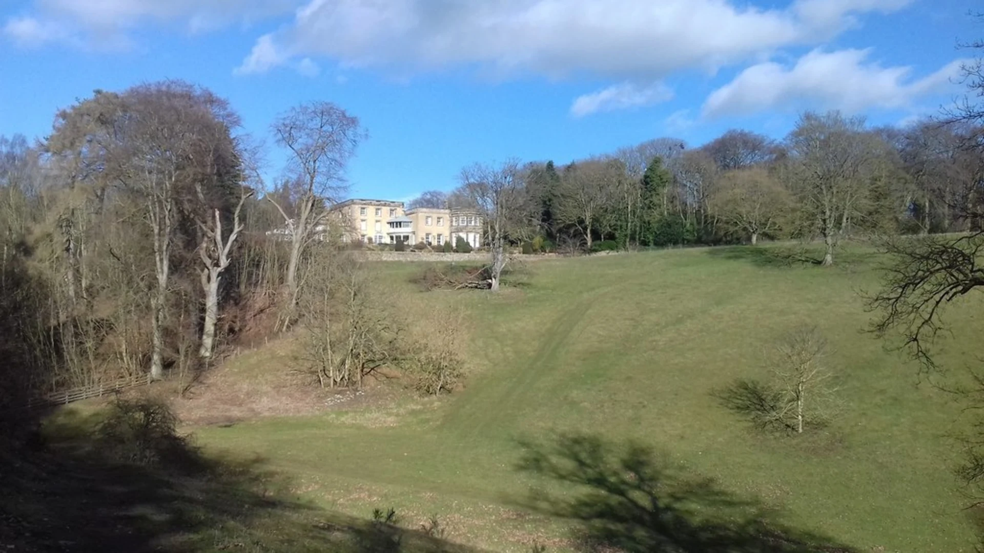 An image depicting the trail Wydale Hall Beech Wood and Cliff Lane Loop and its surrounding area.