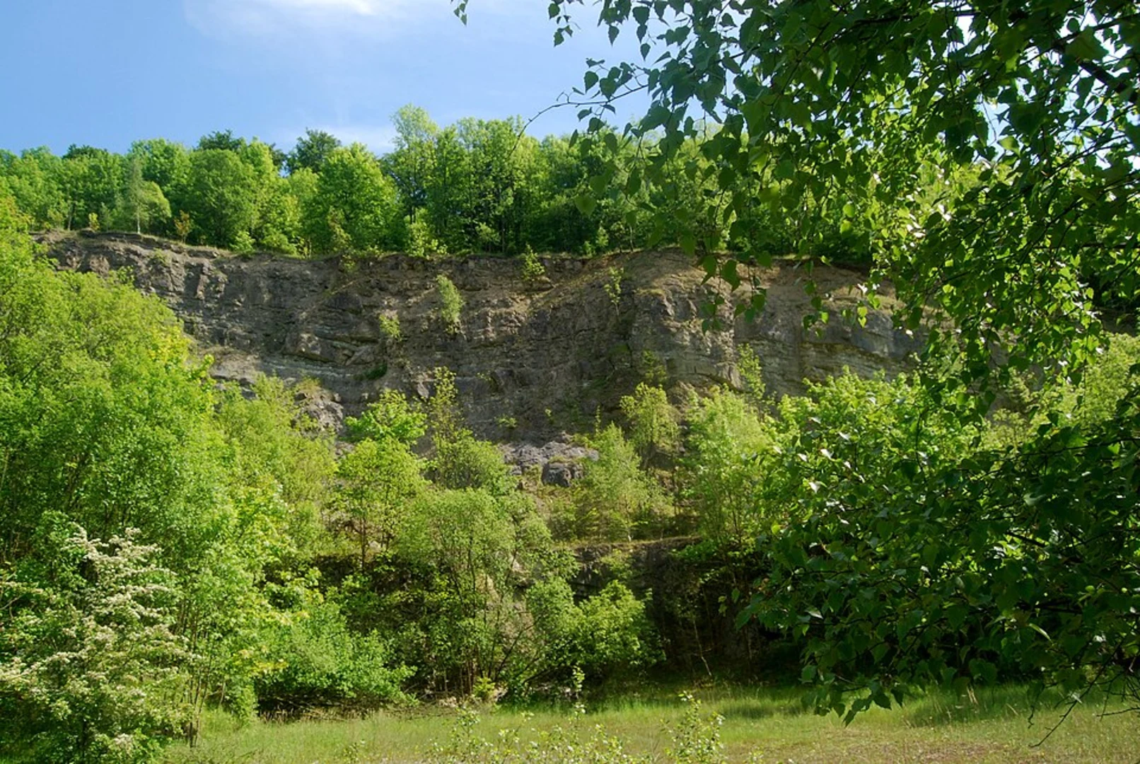 An image depicting the trail Bulau via Birkenhainer Strasse and its surrounding area.