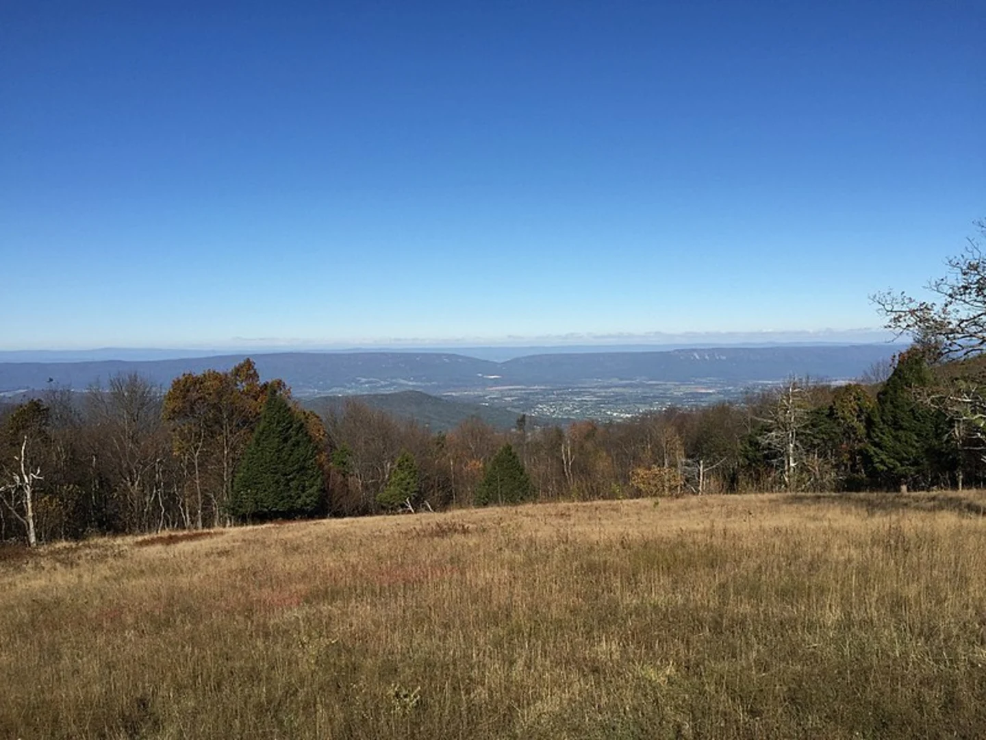 An image depicting the trail Tanners Ridge Road Trail and its surrounding area.