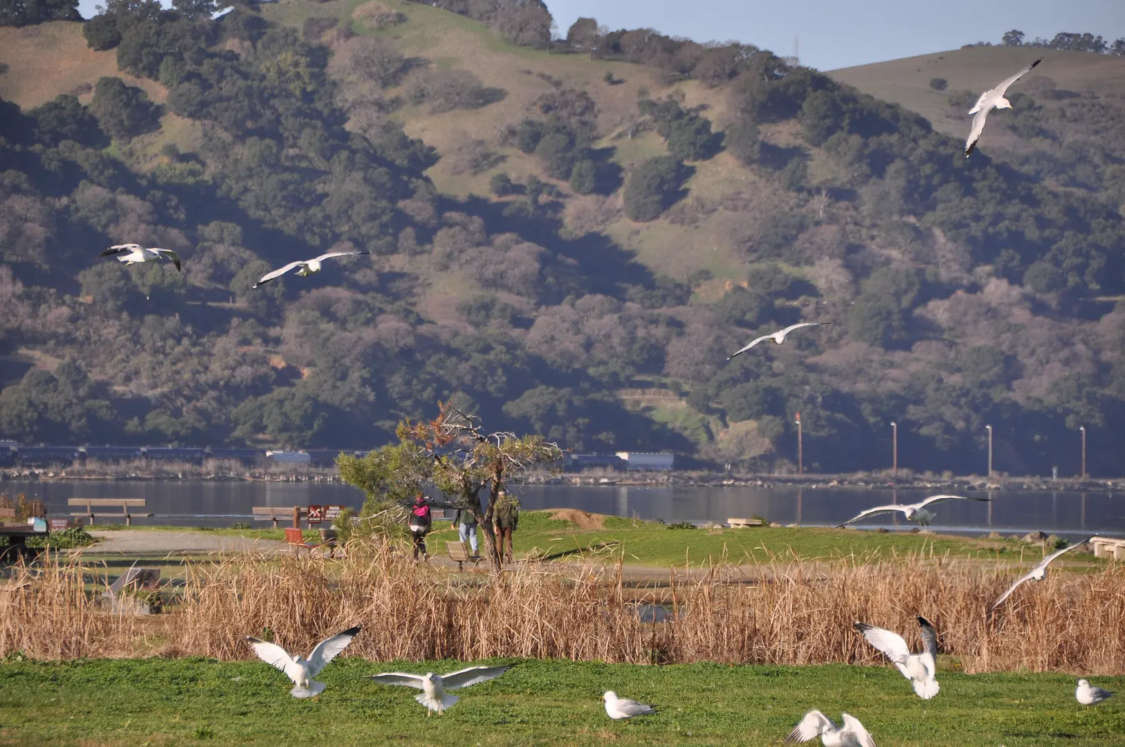 An image depicting the trail Duck Pond Loop Trail and its surrounding area.