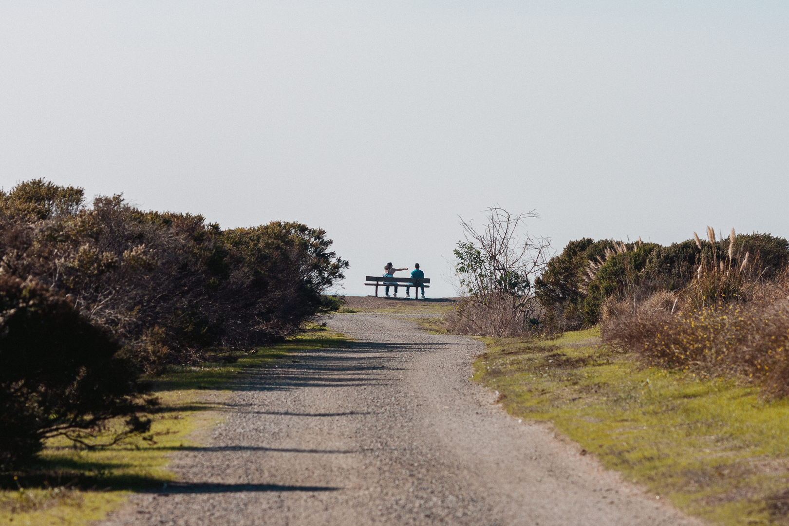 An image depicting the trail San Francisco Bay Loop Trail - Hayward Regional Shoreline and its surrounding area.