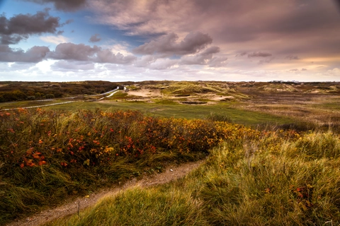 Teylingerlaan, S - Gravendamseweg, Van Panhuysstraat and Boekenroodeweg Loop