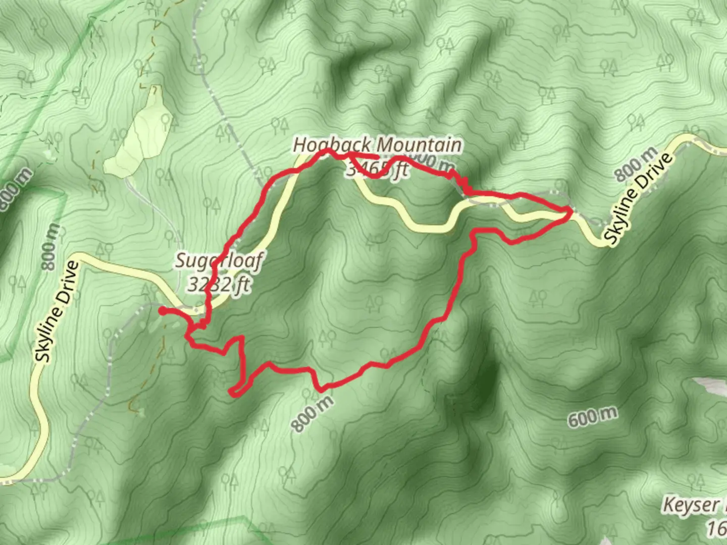 An image depicting the trail Sugarloaf -Little Hogback Mountain - Hogback Mountain Loop and its surrounding area.