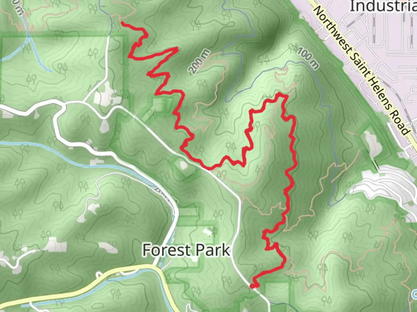 An image depicting the trail Birch Trail and Wildwood Trail and its surrounding area.