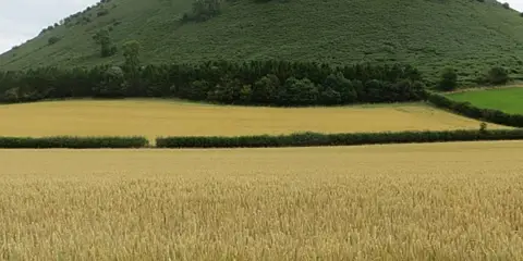 Herrock Hill from Kington