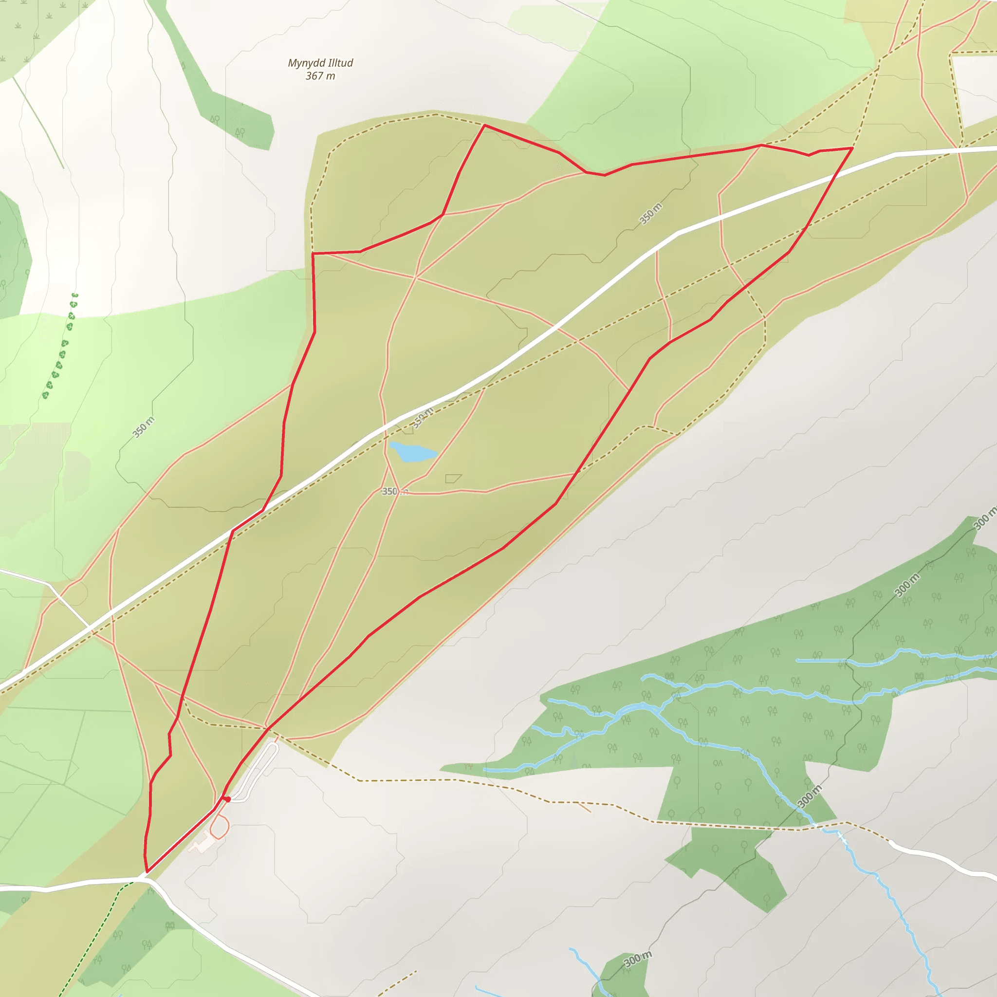 Mynydd Illtud Common Walk mobile static map