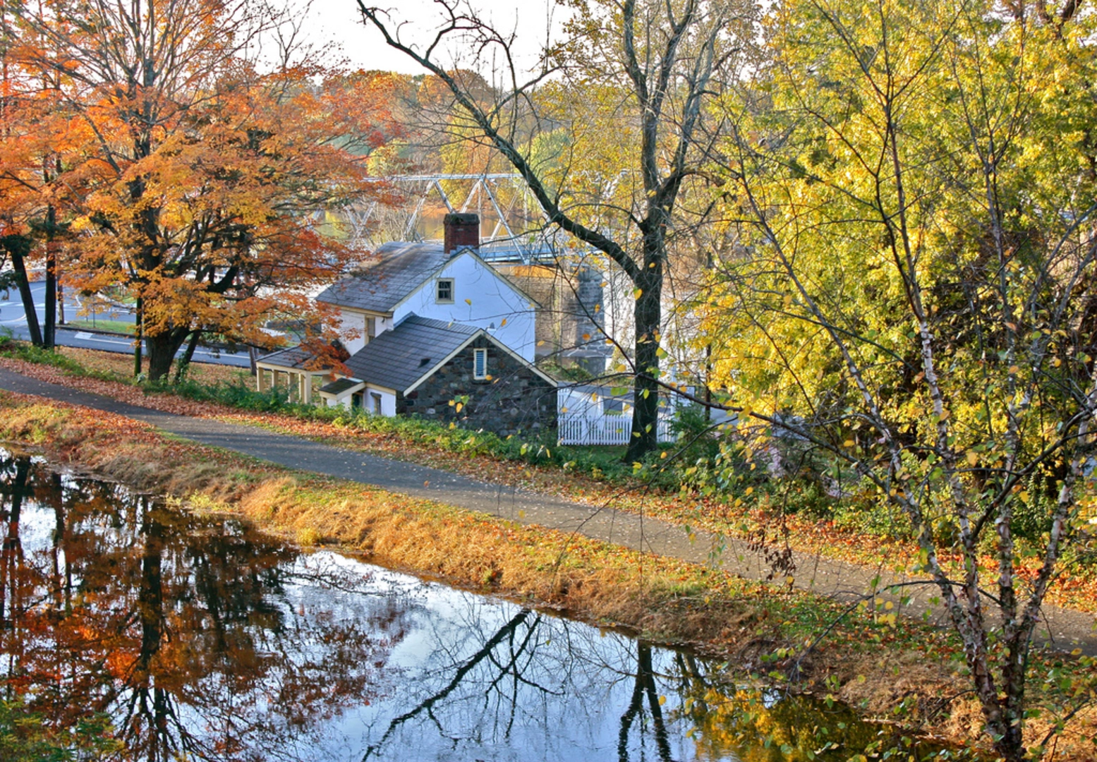 An image depicting the trail Bowman Hill - Pidcock Creek Loop and its surrounding area.