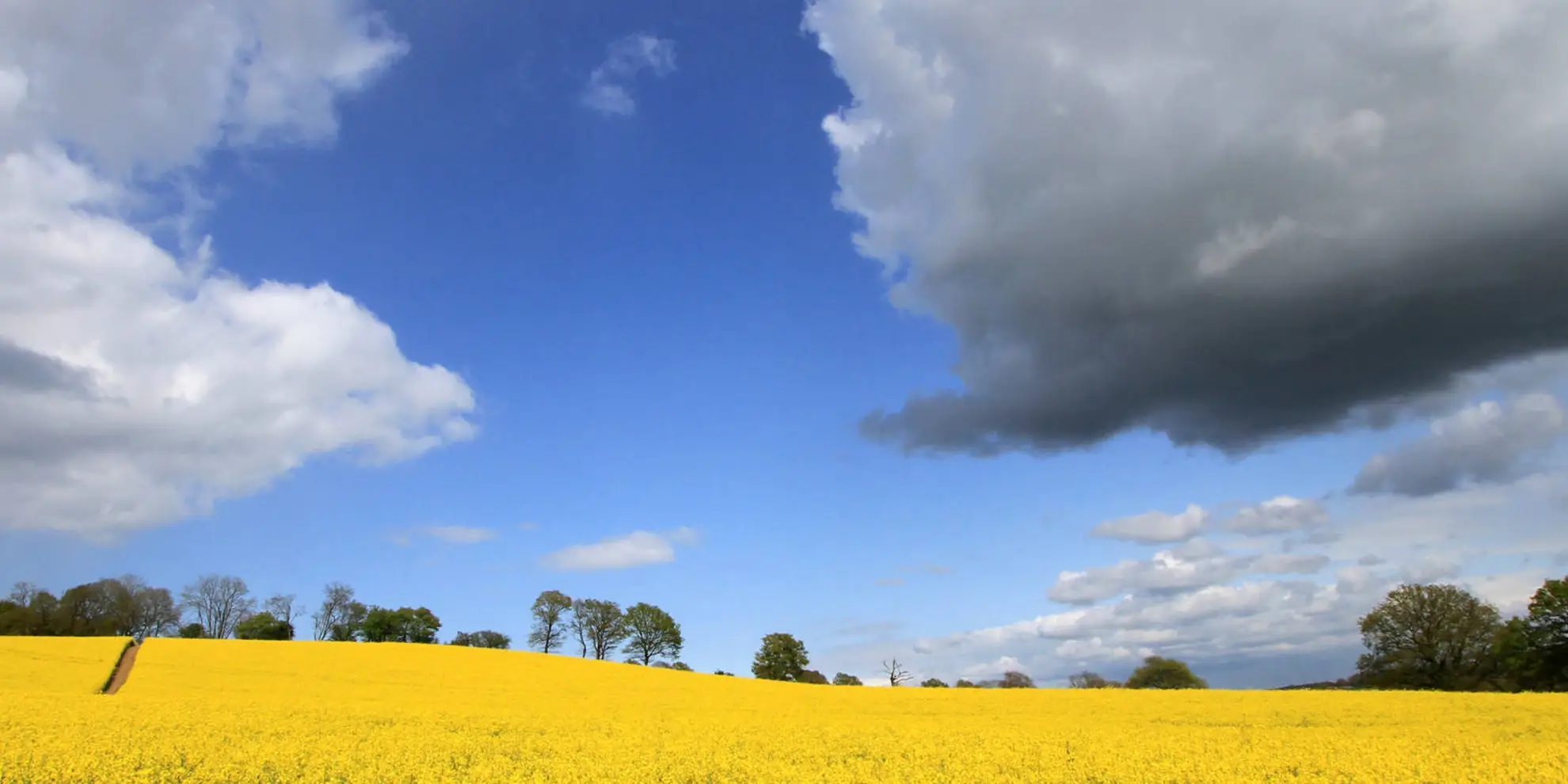 An image depicting the trail East Grinstead to Groombridge Walk - Sussex and its surrounding area.