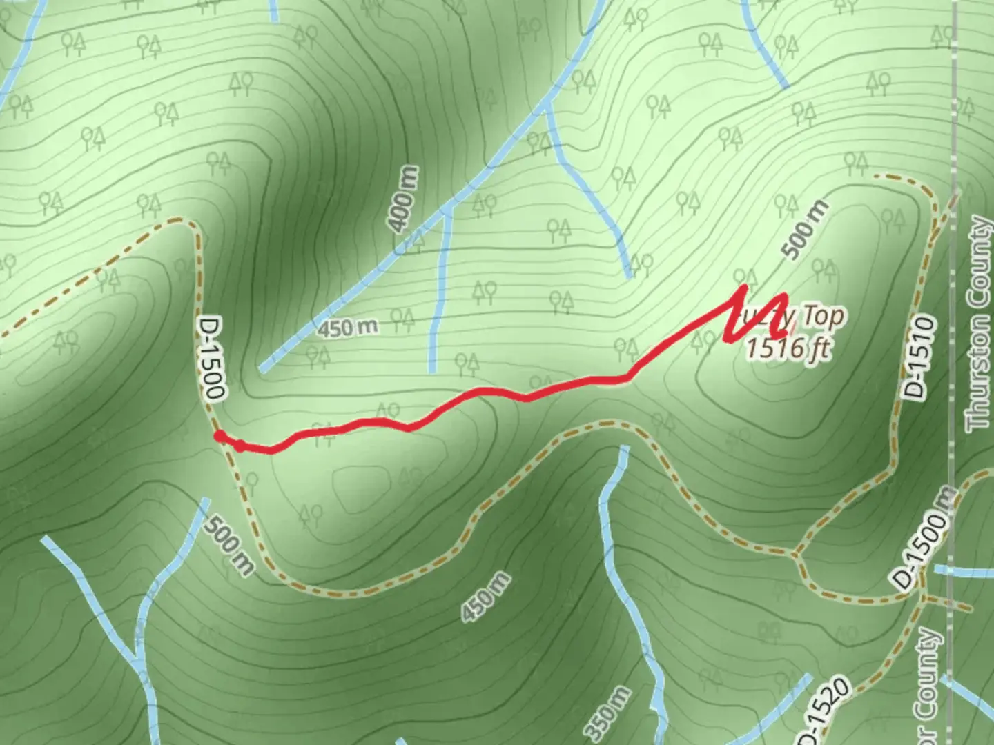 An image depicting the trail Fuzzy Top and its surrounding area.