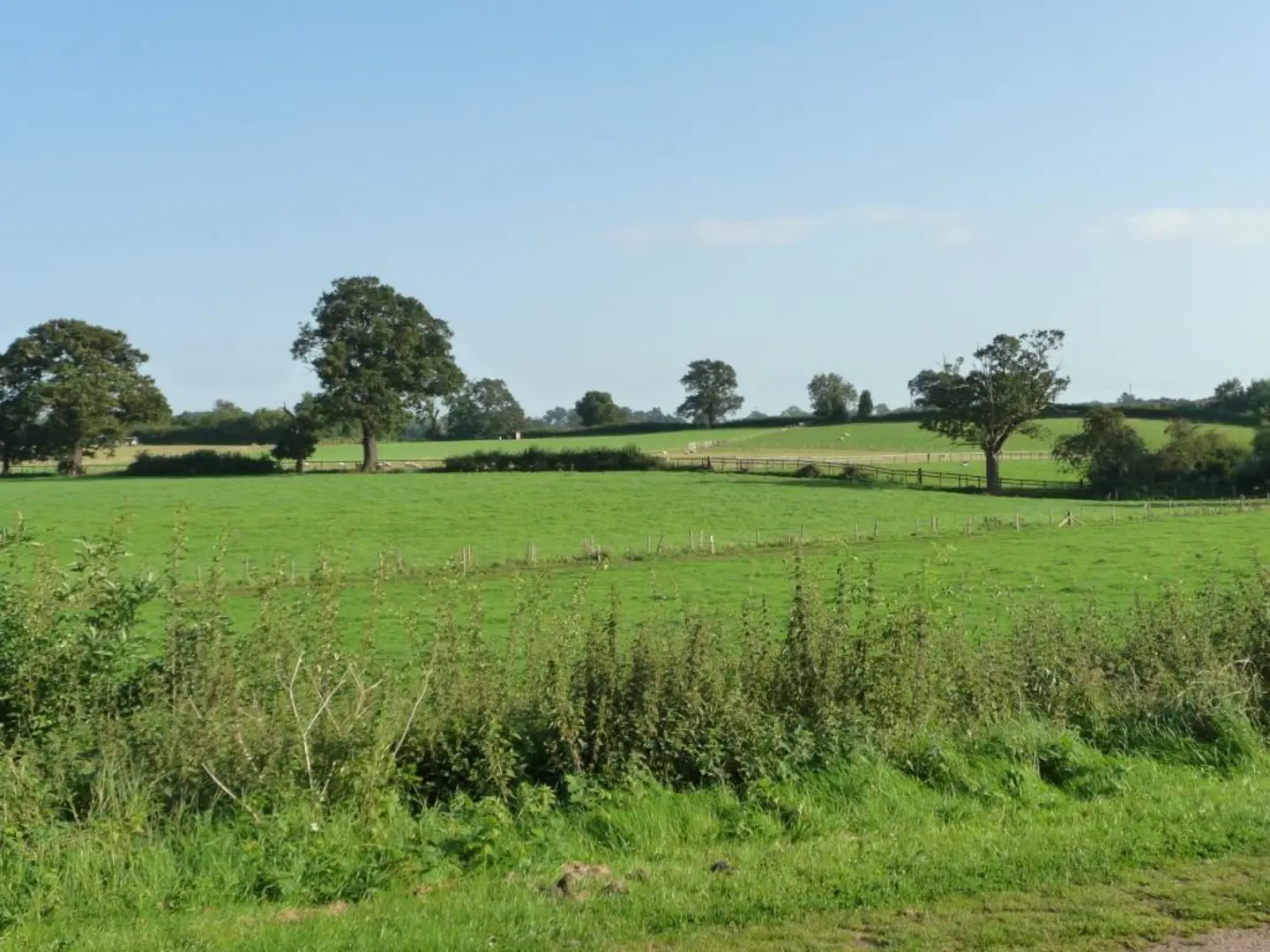 An image depicting the trail Hanbury Wharf and Astwood Loop and its surrounding area.
