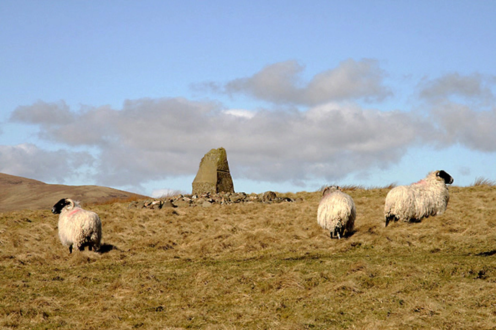 An image depicting the trail Alnham Country Park and its surrounding area.
