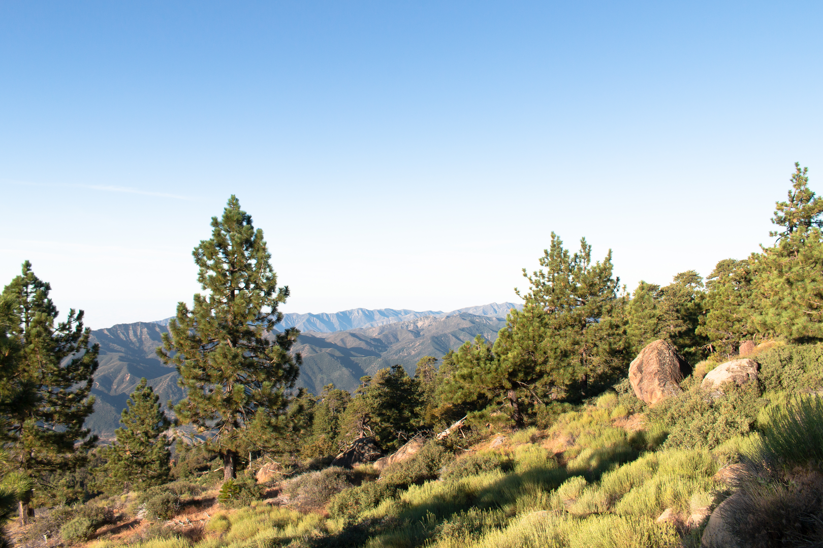 An image depicting the trail Bucksnort Trail via Alder Creek Trail and its surrounding area.