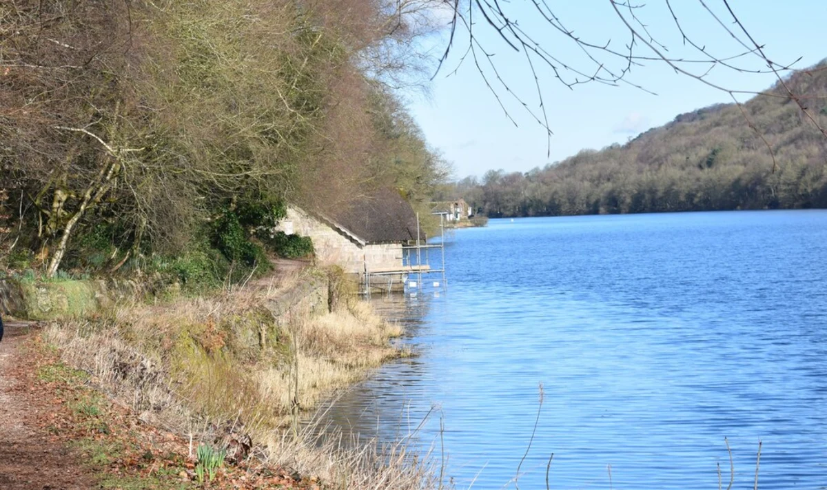 Rudyard Lake and Rea Cliffe Wood Loop
