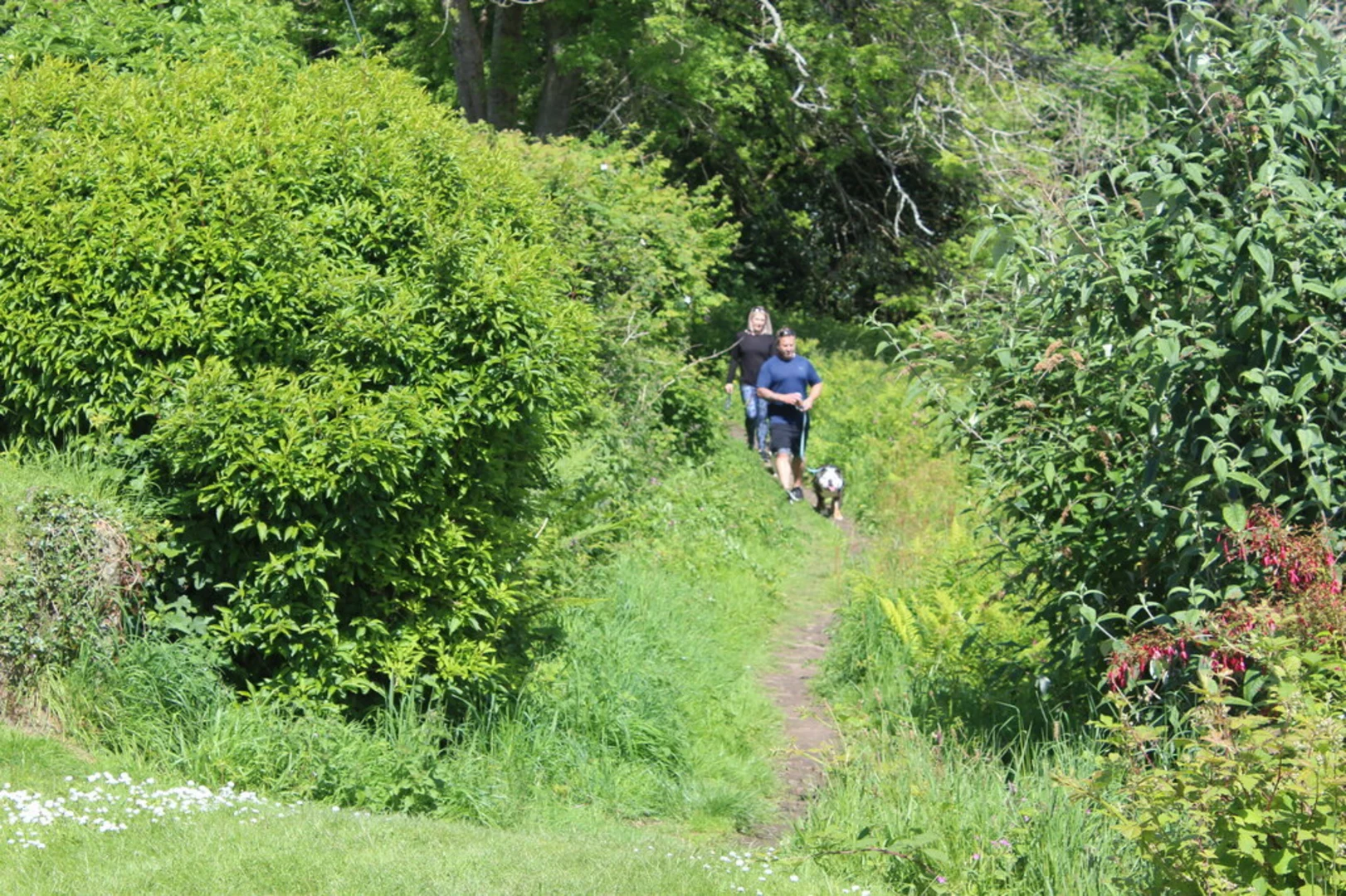 An image depicting the trail Amroth and Colby Woodland Garden Walk and its surrounding area.