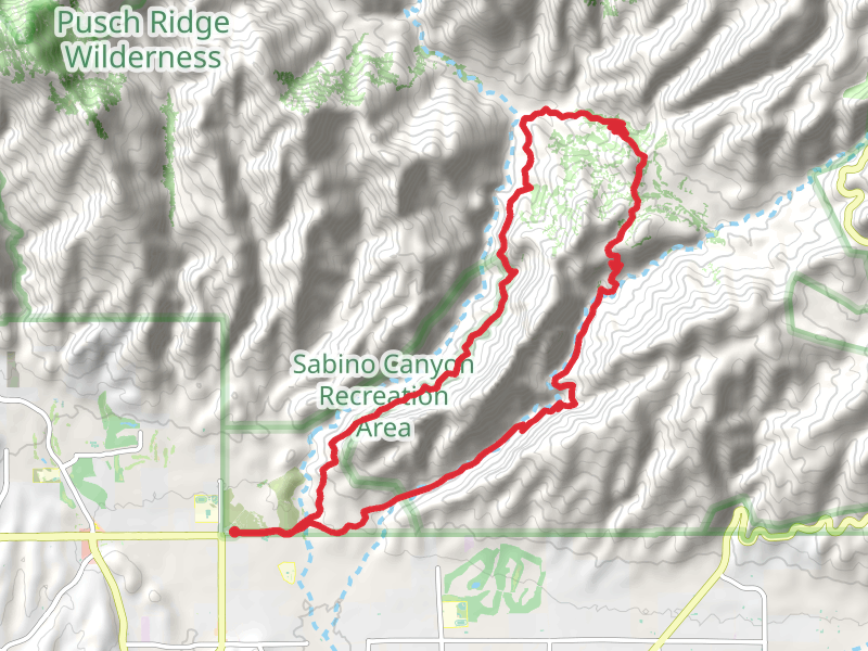 Bear Canyon, Sycamore Saddle and Phoneline Loop Trail