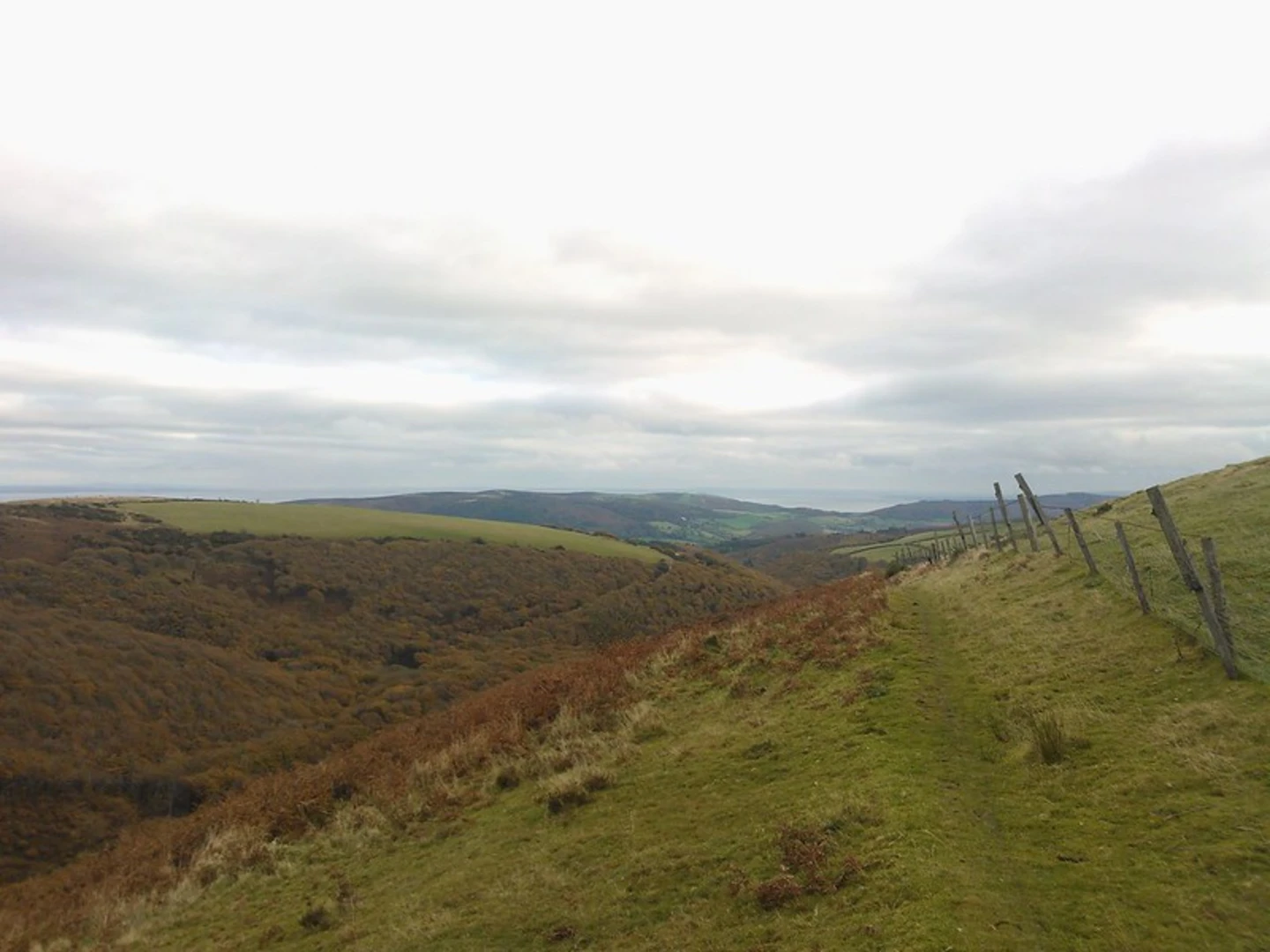 An image depicting the trail Worthy Wood, Homebush Wood and Porlock Country Park and its surrounding area.