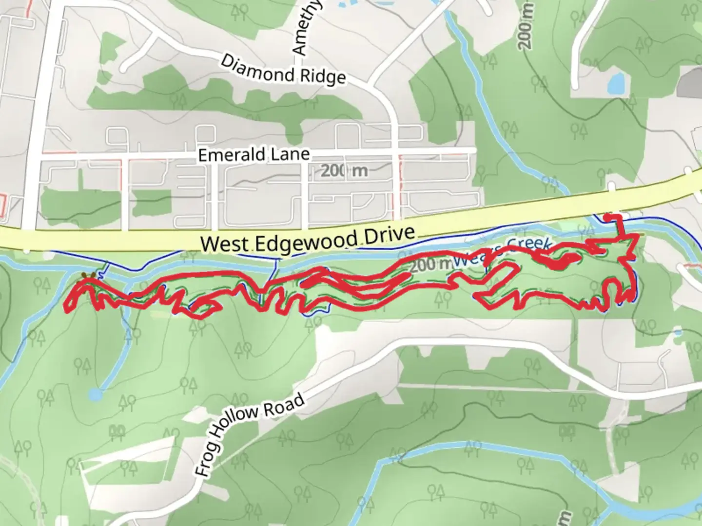 An image depicting the trail Boardwalk and Tick Tok Loop and its surrounding area.