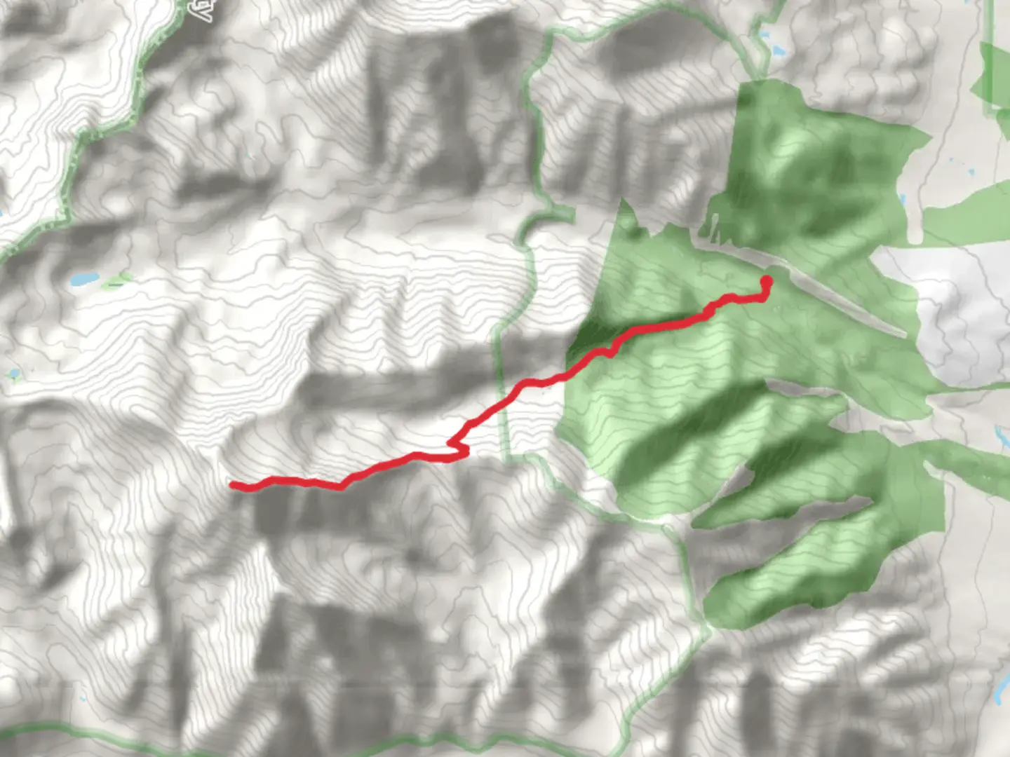 An image depicting the trail Mount Yale via Colorado Trail and its surrounding area.