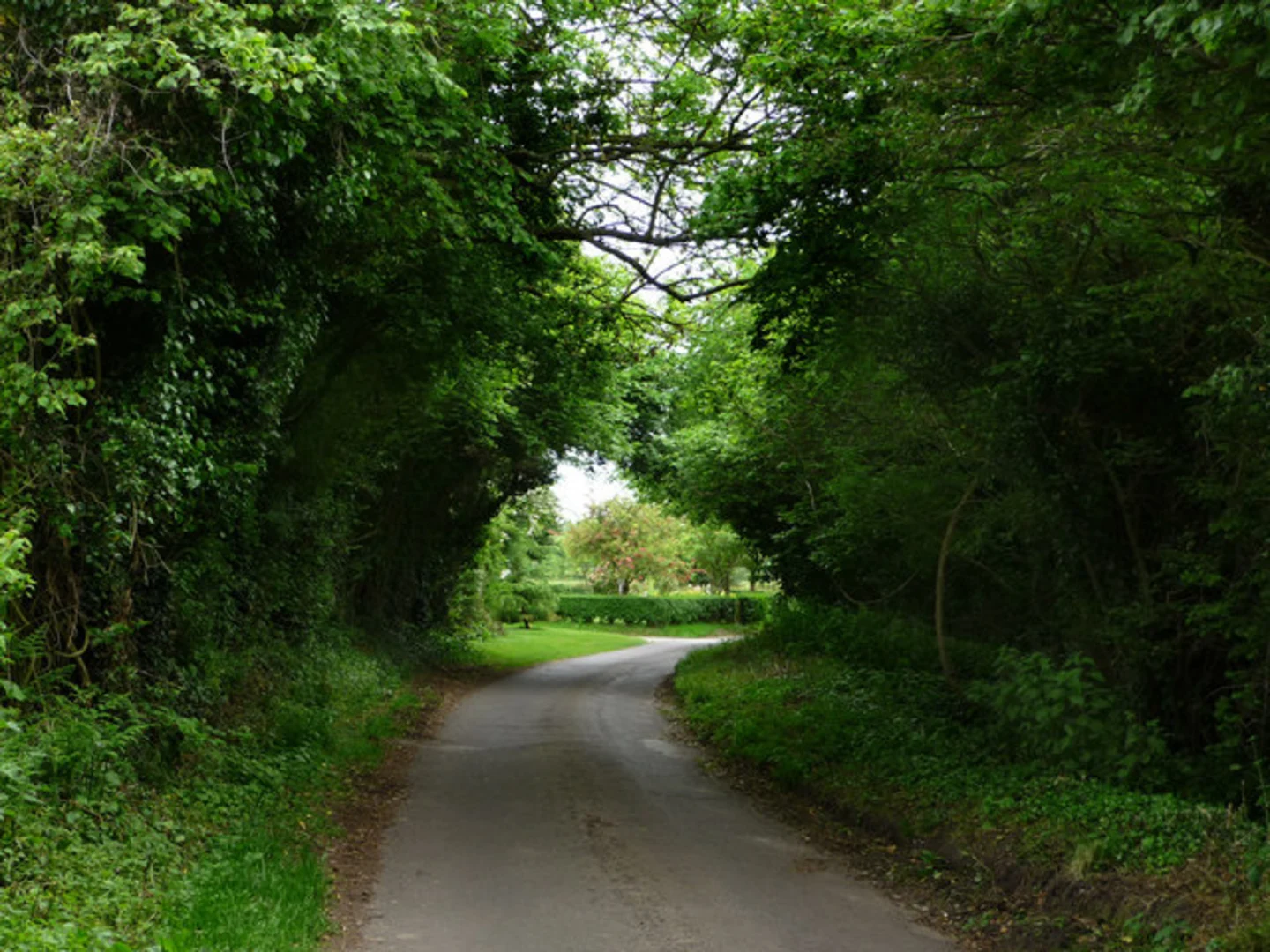 An image depicting the trail Woods Copse via Staunton Way and its surrounding area.