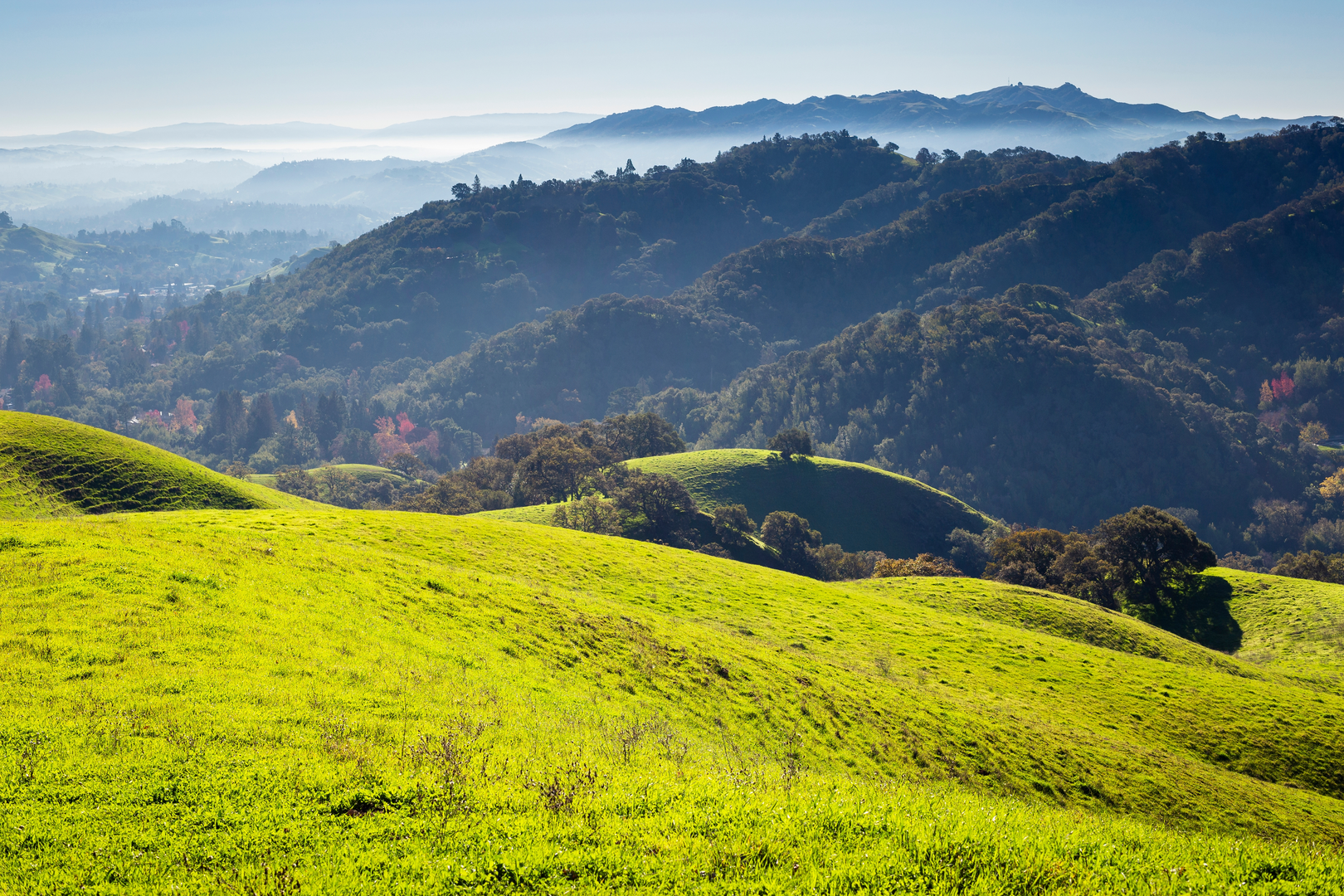An image depicting the trail Fairy Lantern Trail and Shell Ridge Trail Loop and its surrounding area.