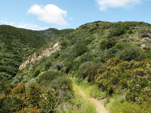 An image depicting the trail Ocean and Canyon View Trail and its surrounding area.