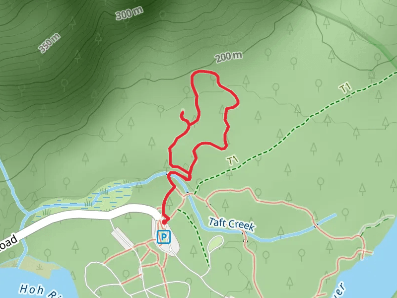 Hall of Mosses Loop Trail