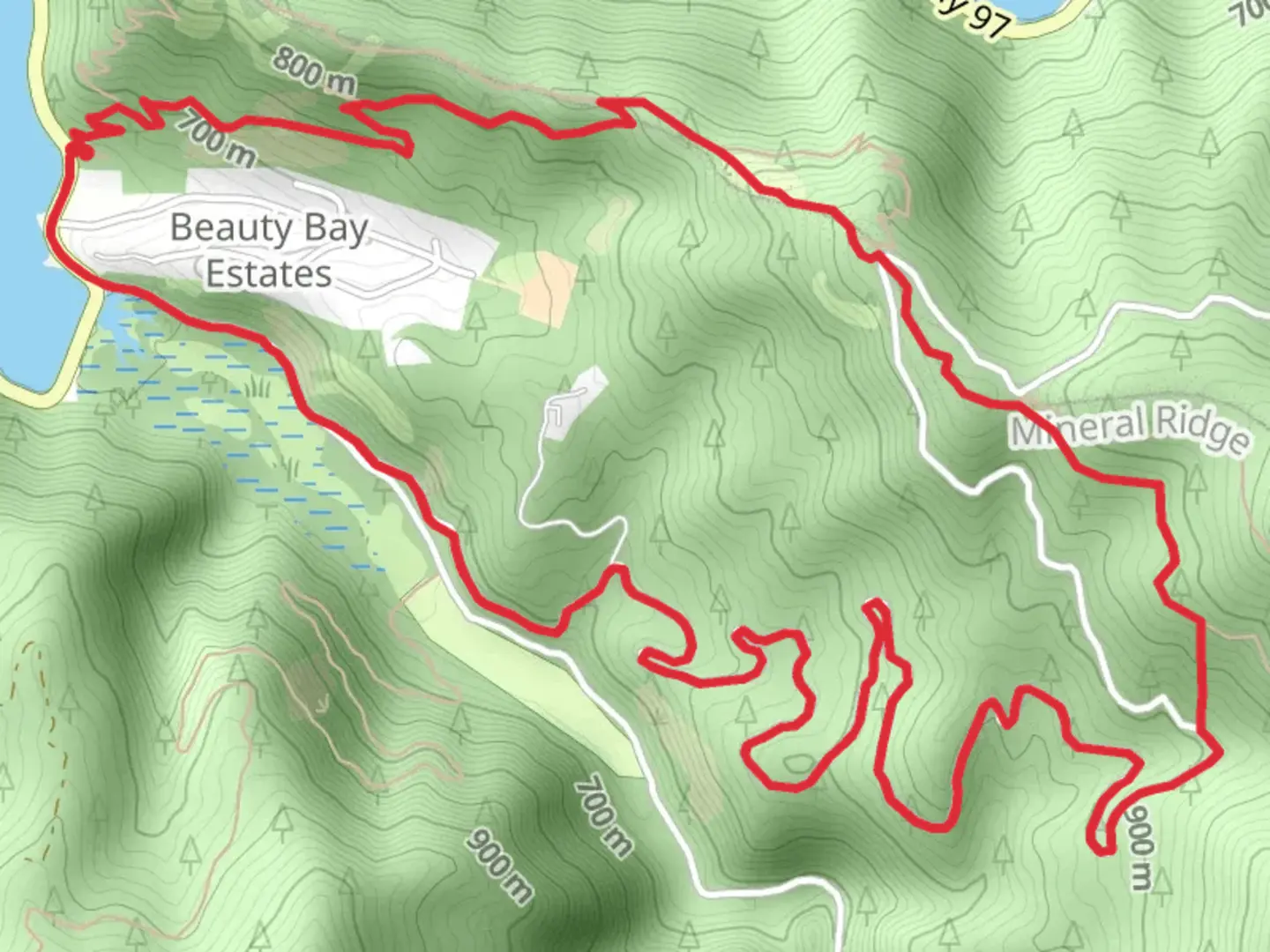 An image depicting the trail Mineral Ridge Trail and Beauty Creek Road Loop and its surrounding area.