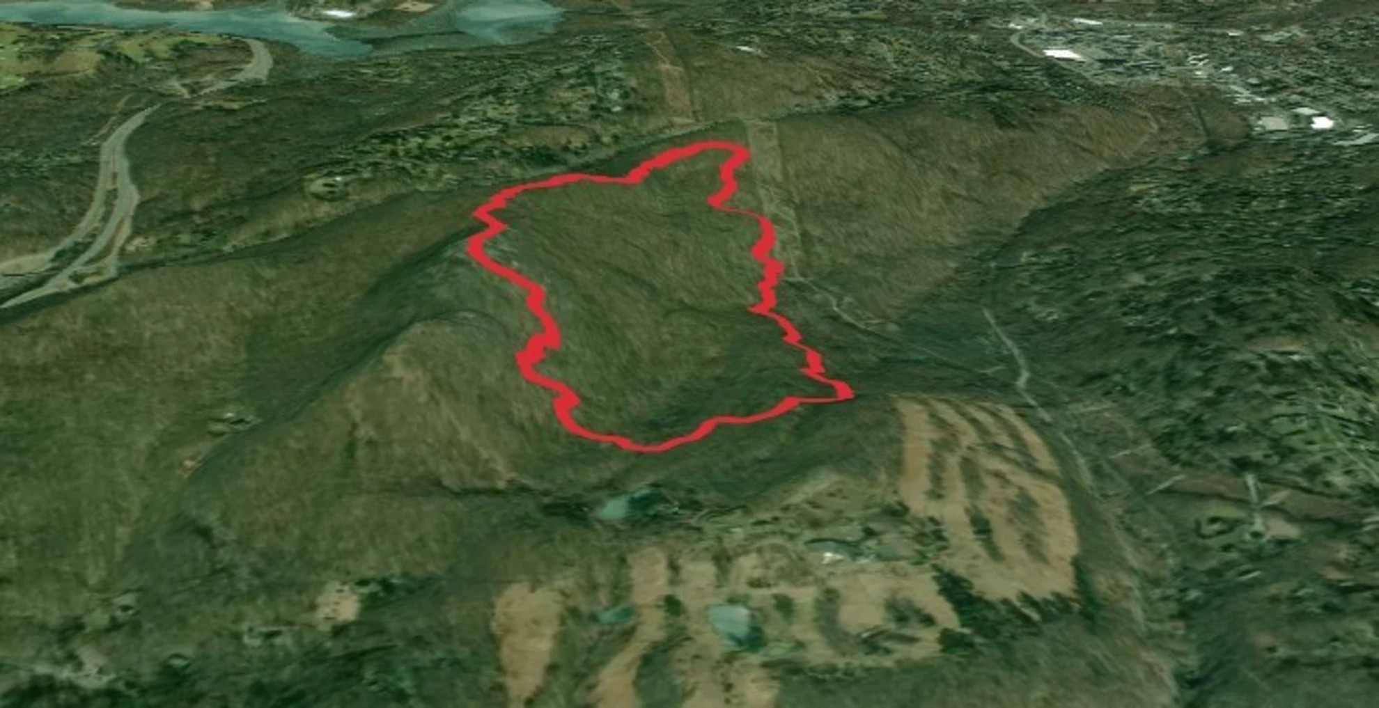 An image depicting the trail Turkey Mountain Loop Blue Trail and its surrounding area.