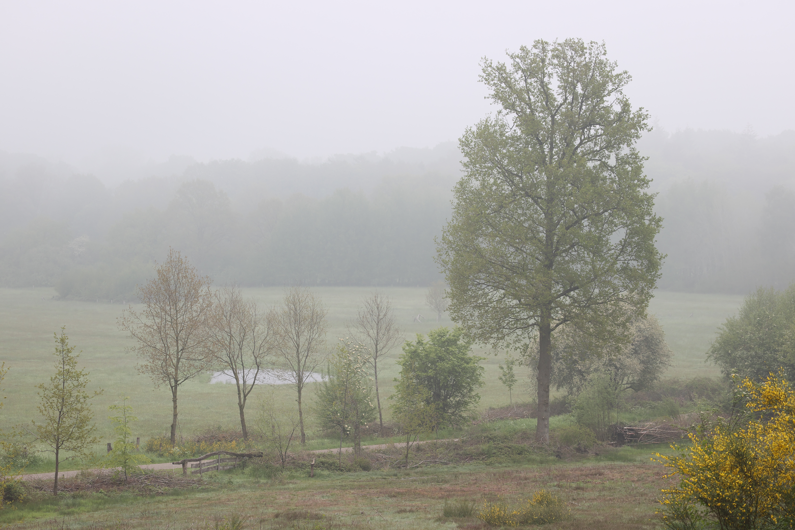 An image depicting the trail Hakenberg and Paaschberg Loop and its surrounding area.