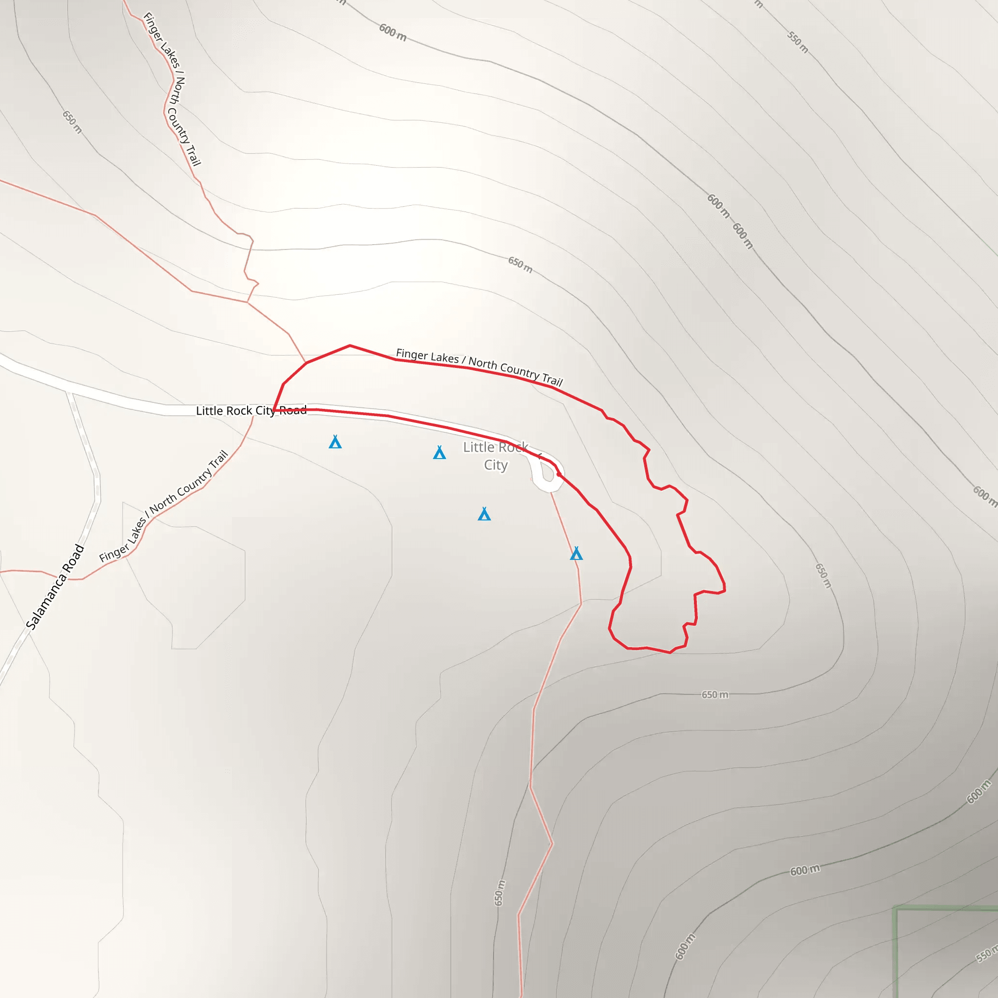 Finger Lakes - North Country Trail Loop mobile static map