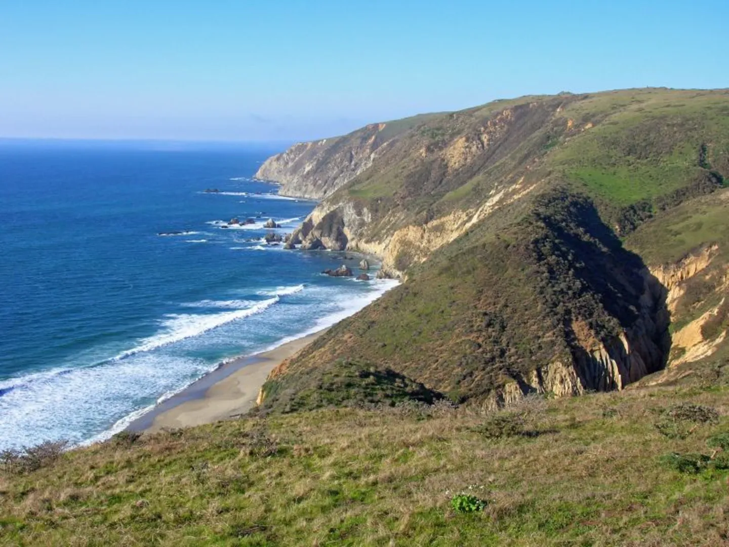 An image depicting the trail Tomales Point Trail and its surrounding area.