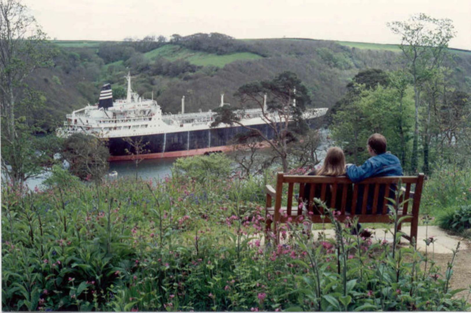 An image depicting the trail Trelissick Garden and River Fal Loop and its surrounding area.