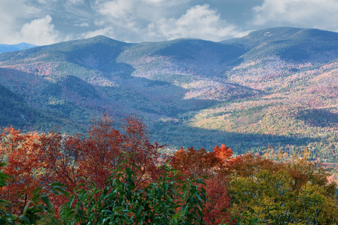 An image depicting the trail Mount Langdon Trail and its surrounding area.