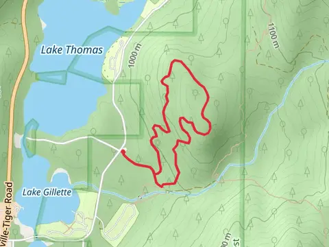 Springboard Loop Trail