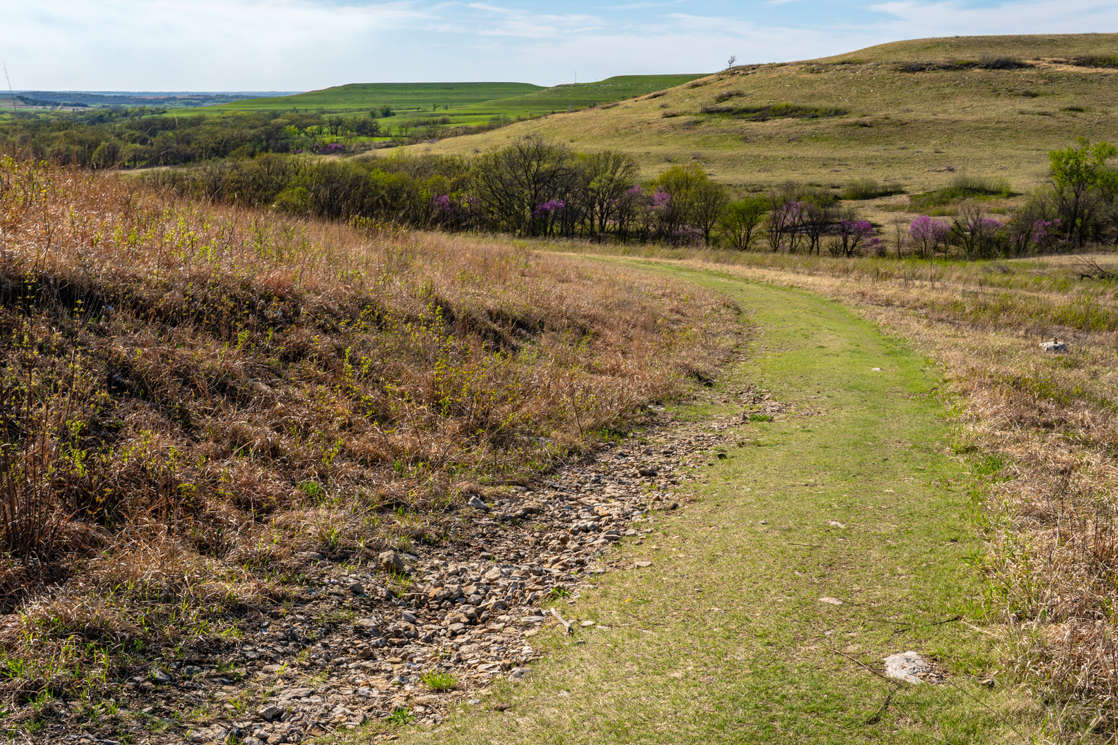 An image depicting the trail Prairie Spirit Trail and its surrounding area.