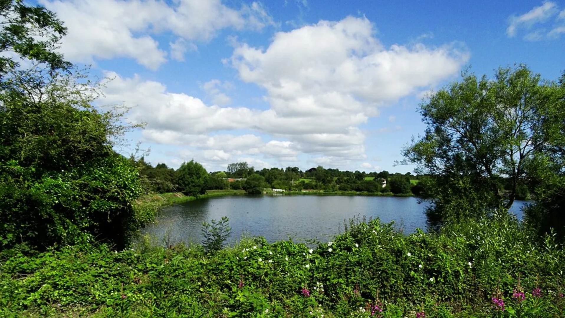 An image depicting the trail Swanwick and Heage Loop via Butterley Reservoir and its surrounding area.