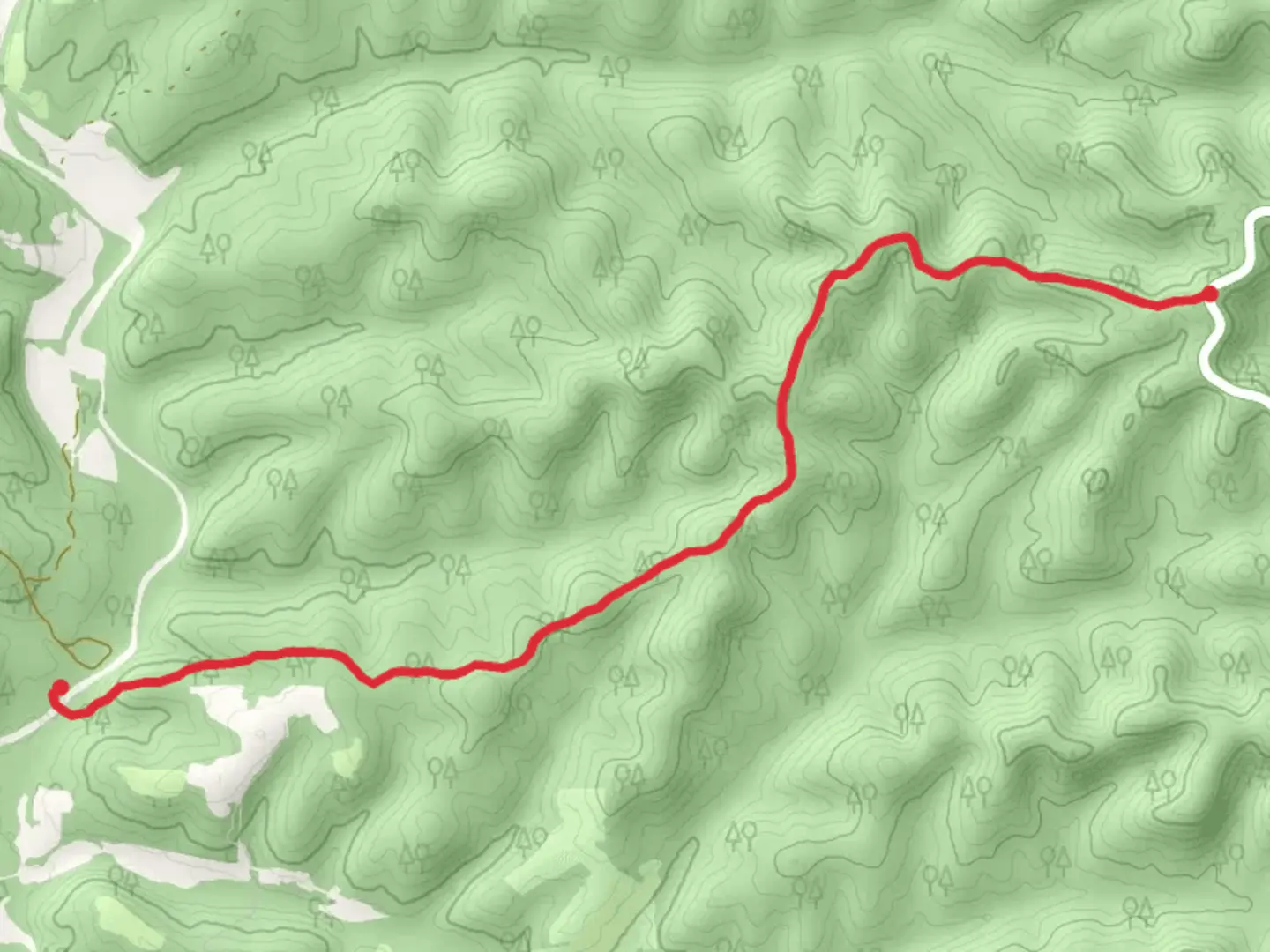 An image depicting the trail Tin Top and its surrounding area.